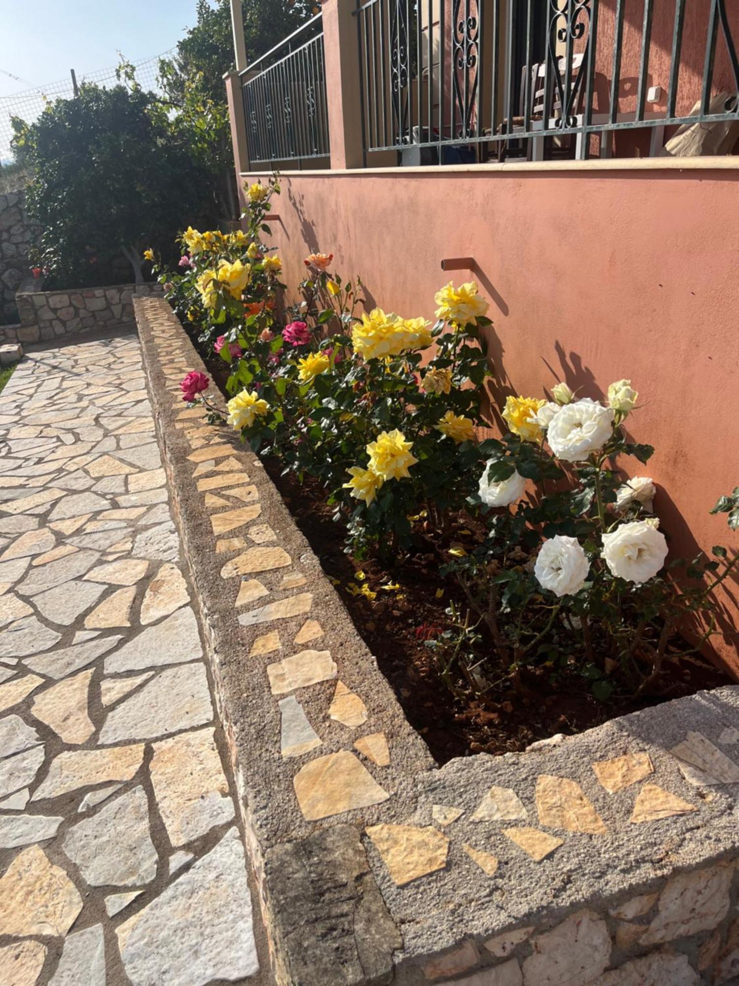 La Casa Di Lena Appartement Argostoli  Buitenkant foto